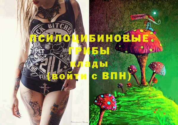 тгк Арсеньев