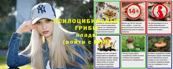 тгк Арсеньев