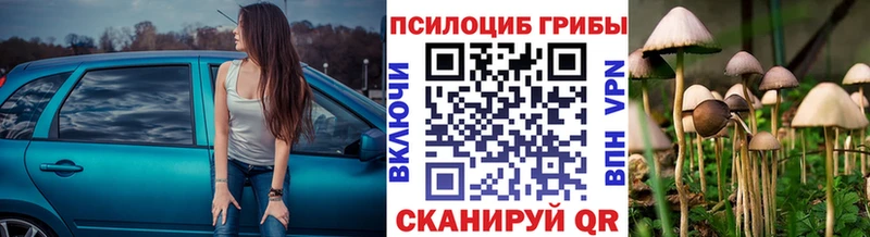 Псилоцибиновые грибы прущие грибы Пошехонье